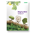 Download PDF (193)